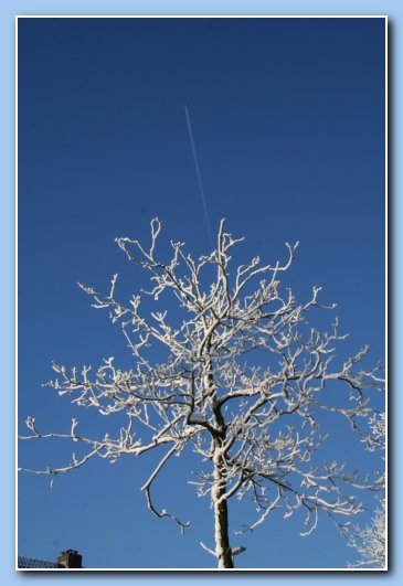 Arnhem Snow 149